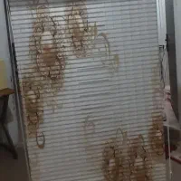 پرده