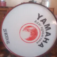 یک سال زده شده