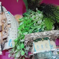 آکواریوم جوبی مدل کلبه ای