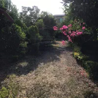 فروش باغ ویلا ۱۰۰۰متر
