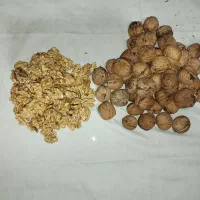 گردو|خوردنی و آشامیدنی|قدس, شهرقدس|دیوار