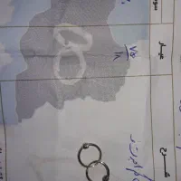 گوشواره سبک
