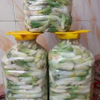 ترشی بیلهر گل اول