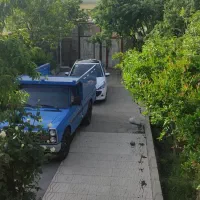 وانت نیسان دوگانه اپشنال