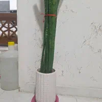 گلدون  سرامیکی