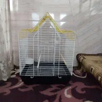 قفس نو|لوازم جانبی حیوانات|قم, حکمت شمالی|دیوار