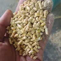 کارخانه دان پلت کنستانتره + جوجه