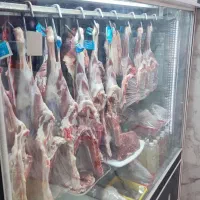 کالابرگ مرغ و گوشت همه فعال میباشد
