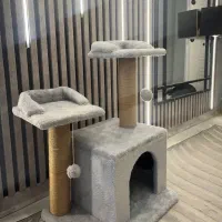 اسکرچر گربه (درخت گربه)
