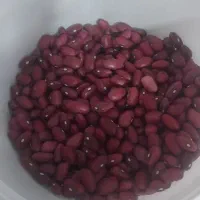 لوبیا