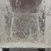 فرغون کارکرده سالم