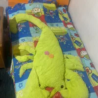 تخت تک نفره نوجوان