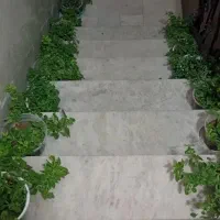 جویای کار هستم زاهدان