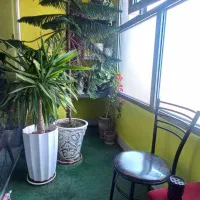 زیرزمین تجاری پاستور جدید