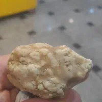 سنگی‌که‌چندشکل‌حیوان‌دارد