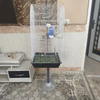 قفس کامل با وسایل آب و دون با پایه و اینا