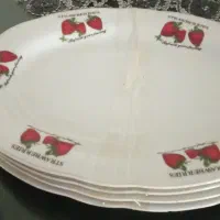 ۴ عدد دیس خارجی