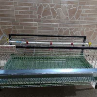 قفس بلدرچین