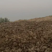کود مرغ خشک