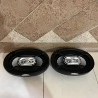 باند پایونیر کاروزویا