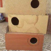لونه عروس هلندی وگرینچک