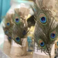 پرطاووس هندی