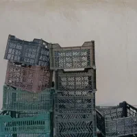 سبد