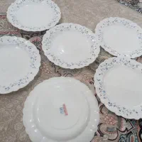 بشقاب ارکوپال