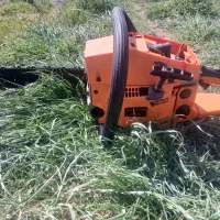 هرس انواع درخت چوب بری خرید چوب