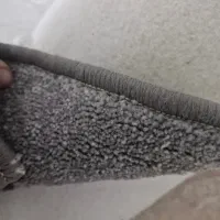 موکت پالاز