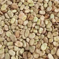 باقله خارجی زودرس کیلو 230