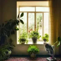 همخونه-خانم