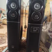 یک جفت اسپیکر اصلی