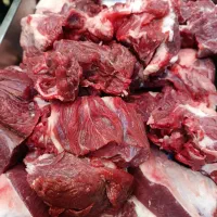 نیرو تحویل داری فست فود با تجربه