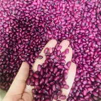 *لوبیا قرمز دستچین با کالابرگ*