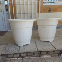 گلدون نو اصلا استفاده نشده