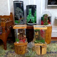 کارهای بدون مشابه اکواریوم تراریوم پروانه