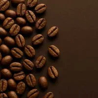 فروش دانه قهوه