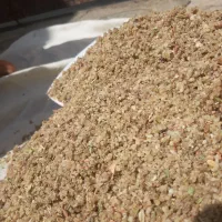 ترنجبین درجه یک تازه برداشت