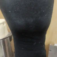 مانکن سوزن‌ خور
