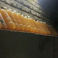 ابغوده