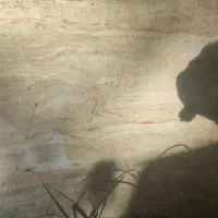 کاشی وسرامیک 40×80 زسیار زیبا