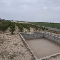 باغچه فروشی
