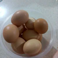 تخم مرغ محلی تازه