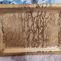 سینی مرمر طلایی