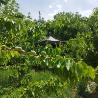 باغ ویلای اجاره باغ بهشت
