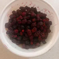 شاتوت تازه