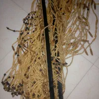 پرده مهره ای