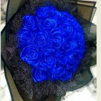 گل ربانی