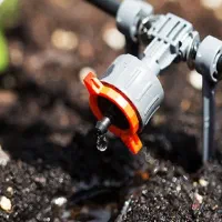 آبیاری قطره‌ای